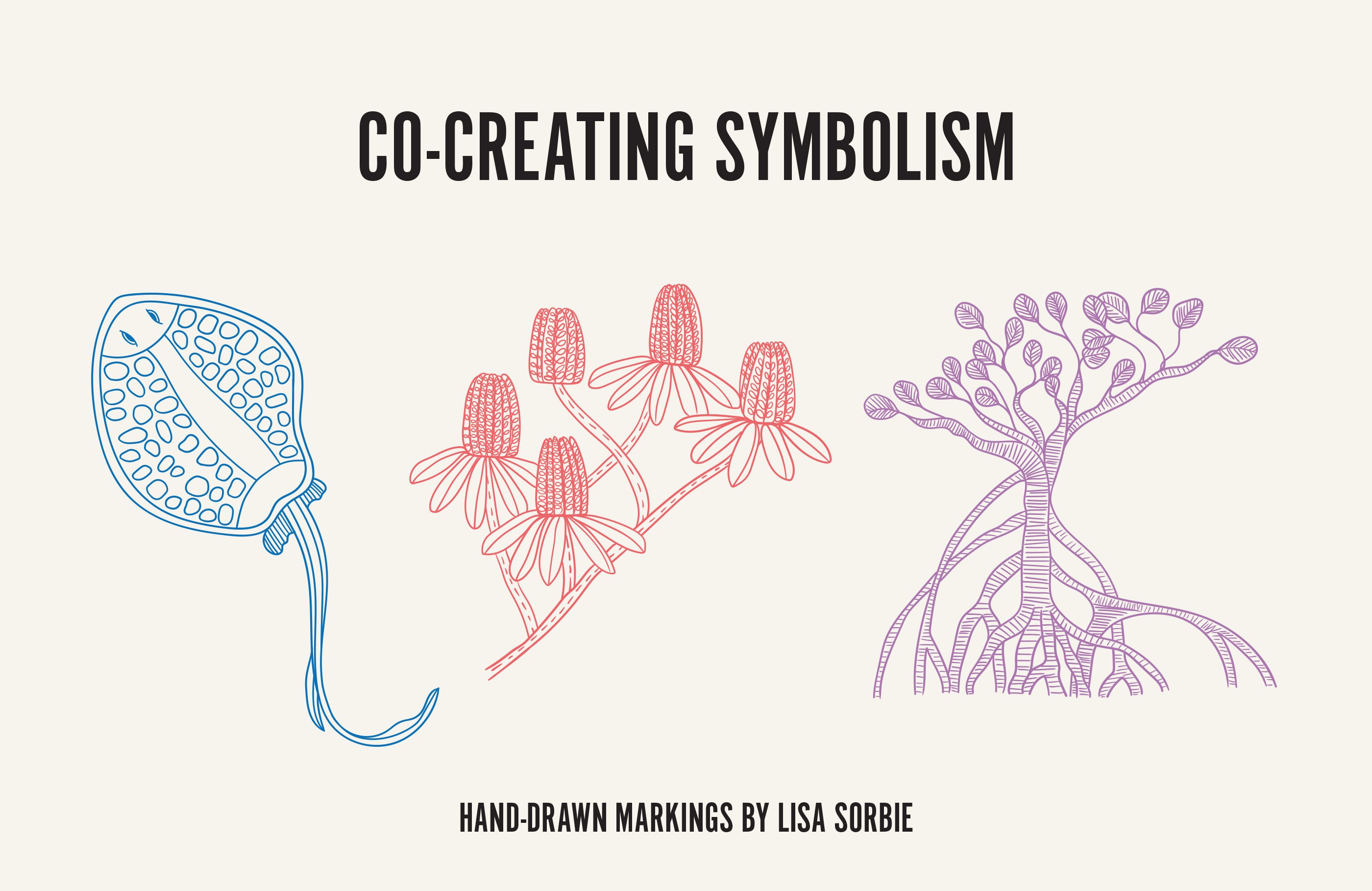 Hand-drawn markings of a sting ray, banksia and mangrove by Lisa Sorbie