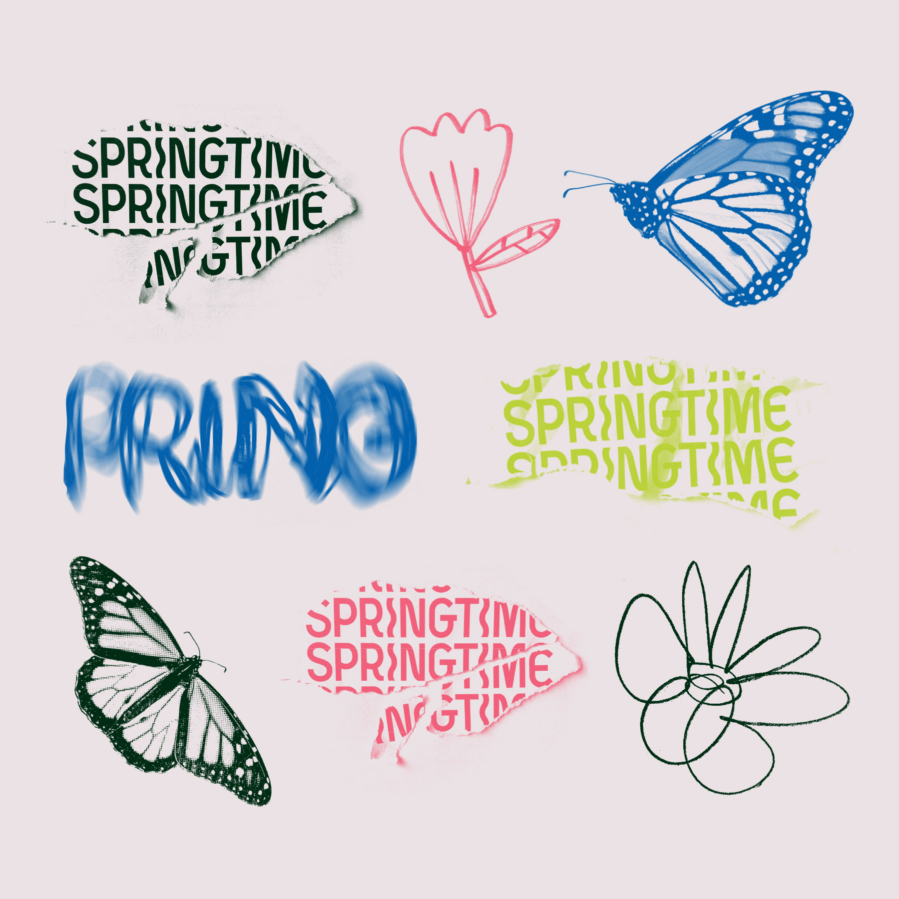 Springtime_Branding_Process4